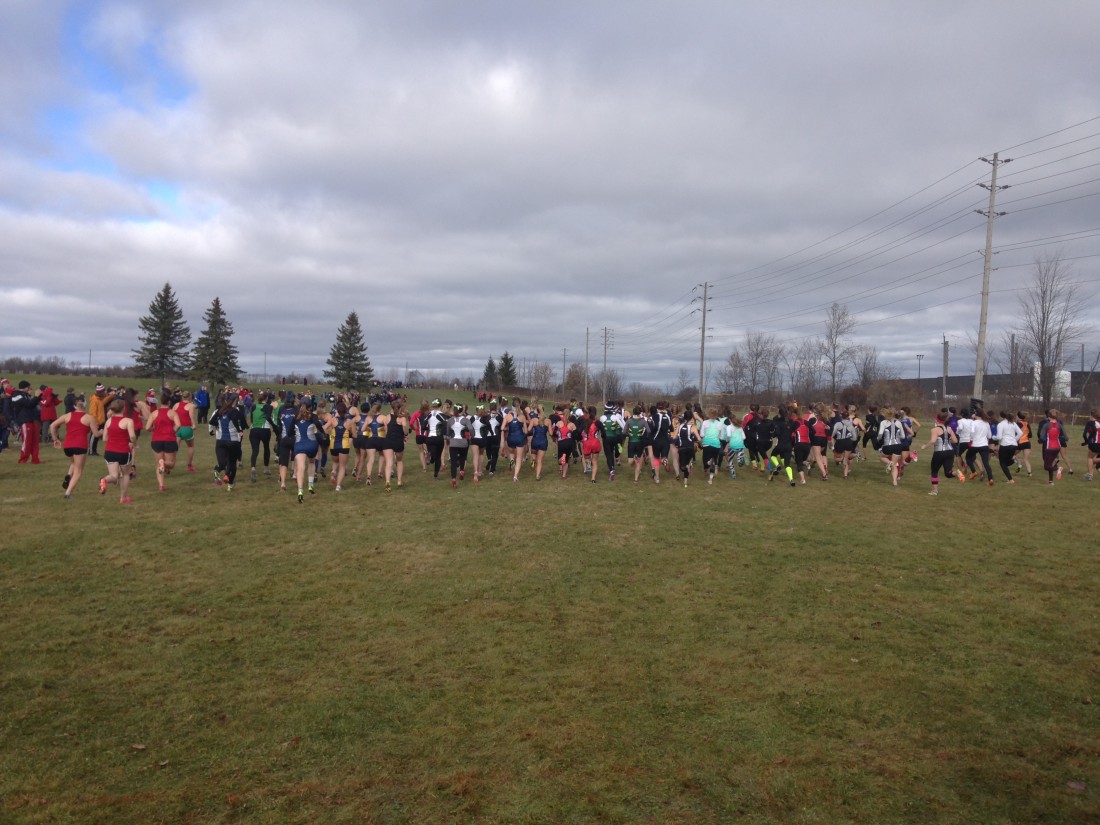 CCAA National Cross Country Championships Kintec