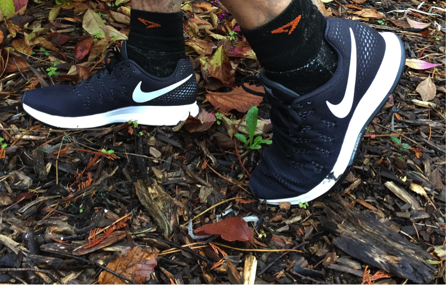 nike pegasus styles