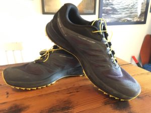 Shoe Review: Salomon Sense Pro 2 | Kintec: Footwear + Orthotics